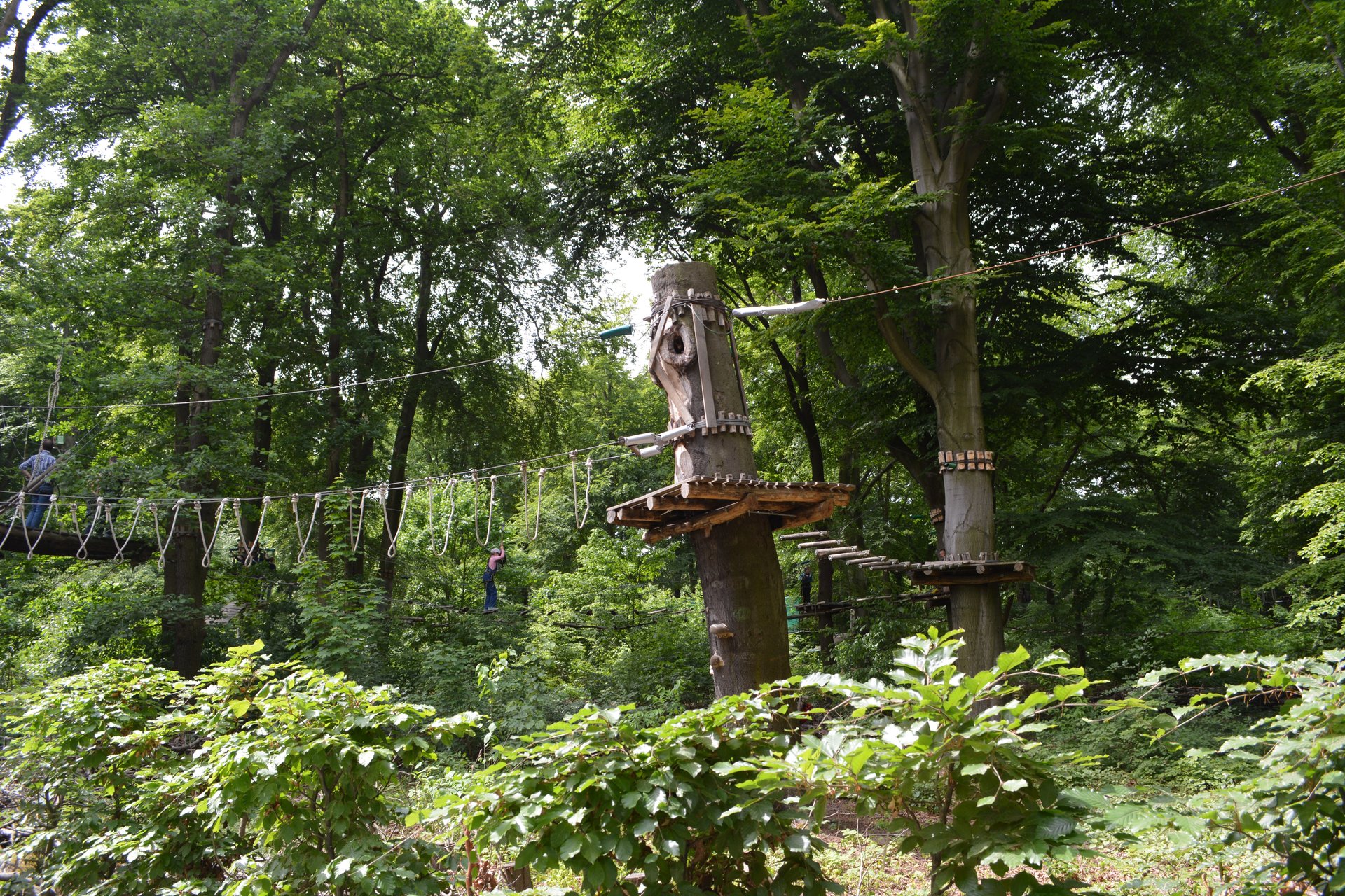 Kletterwald Garmisch Abenteuer